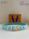 LV Belt AAA (17)