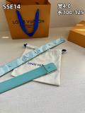 LV Belt AAA (17)