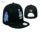 MLB Los Angeles Dodgers Snapback Hat (667)