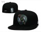 NBA Boston Celtics Snapback Hat (37)