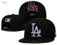 MLB Los Angeles Dodgers Snapback Hat (664)