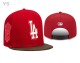 MLB Los Angeles Dodgers Snapback Hat (669)