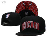 NBA Chicago Bulls Snapback Hat (73)