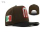 Mexico Snapback Hat (44)