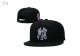 MLB New York Yankees Snapback Hat (226)