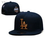 MLB Los Angeles Dodgers Snapback Hat (666)