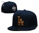 MLB Los Angeles Dodgers Snapback Hat (666)