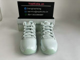 Authentic Air Jordan 11  FirberGlass