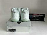 Authentic Air Jordan 11  FirberGlass