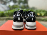 Nike Pegasus Premium（14）