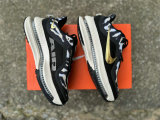 Nike Pegasus Premium（14）
