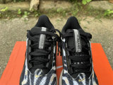 Nike Pegasus Premium（14）