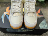Authentic Air Jordan 4 Birds of Paradise