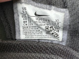 Nike Pegasus Premium（14）