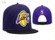 NBA Los Angeles Lakers Snapback Hat (71)