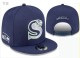 NFL Seattle Seahawks Snapback Hat (357)