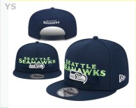 NFL Seattle Seahawks Snapback Hat (356)