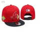 MLB Atlanta Braves Snapback Hat (179)