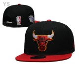 NBA Chicago Bulls Snapback Hat (76)