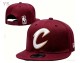 NBA Cleveland Cavaliers Snapback Hat (18)