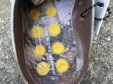 Authentic Nike Mind 001 (16)