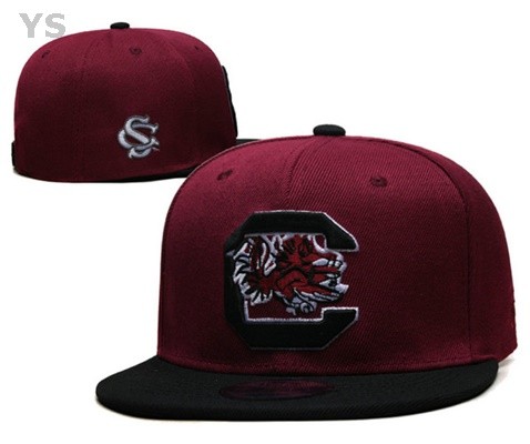 NCAA South Carolina Gamecocks Snapback Hat (2)