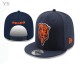 NFL Chicago Bears Snapback Hat (186)