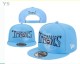NFL Tennessee Titans Snapback Hat (90)