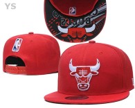 NBA Chicago Bulls Snapback Hat (79)