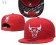 NBA Chicago Bulls Snapback Hat (79)
