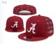 NCAA Alabama Crimson Tide Snapback Hat (20)