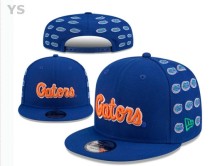 NCAA Florida Gators Snapback Hat (36)
