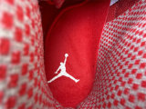 Authentic Air Jordan 10 Retro OG Steel White/Red
