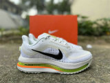 Nike Pegasus Premium（15）