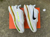 Nike Pegasus Premium（15）