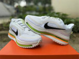 Nike Pegasus Premium（15）