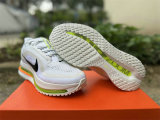 Nike Pegasus Premium（15）
