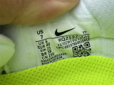 Nike Pegasus Premium（15）