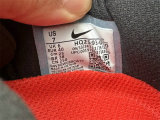 Nike Pegasus Premium（16）