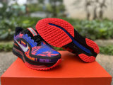 Nike Pegasus Premium（17）
