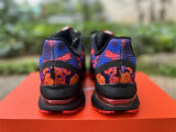Nike Pegasus Premium（17）