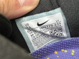 Nike Pegasus Premium（17）