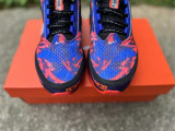 Nike Pegasus Premium（17）