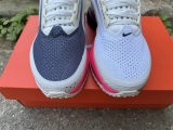 Nike Pegasus Premium（18）