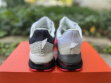 Nike Pegasus Premium（18）