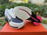 Nike Pegasus Premium（18）