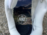 Nike Pegasus Premium（18）