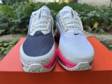 Nike Pegasus Premium（18）