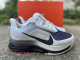 Nike Pegasus Premium（18）