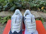 Nike Pegasus Premium（18）